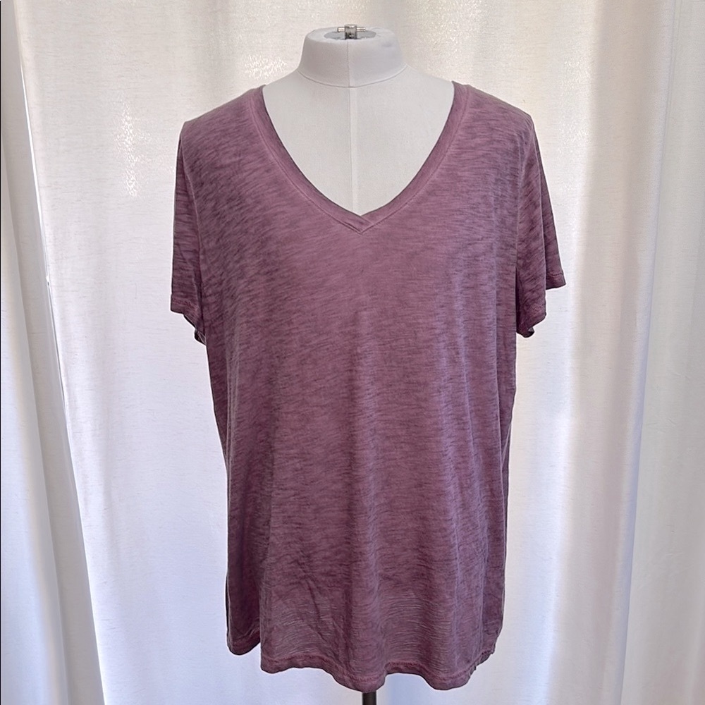 Women's Short Sleeve V-Neck T-Shirt - Ava & Viv Purple Size 2X